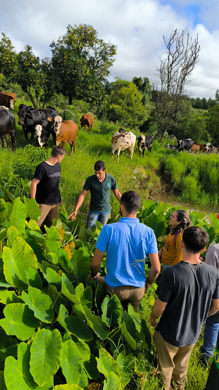 Portada de la noticia