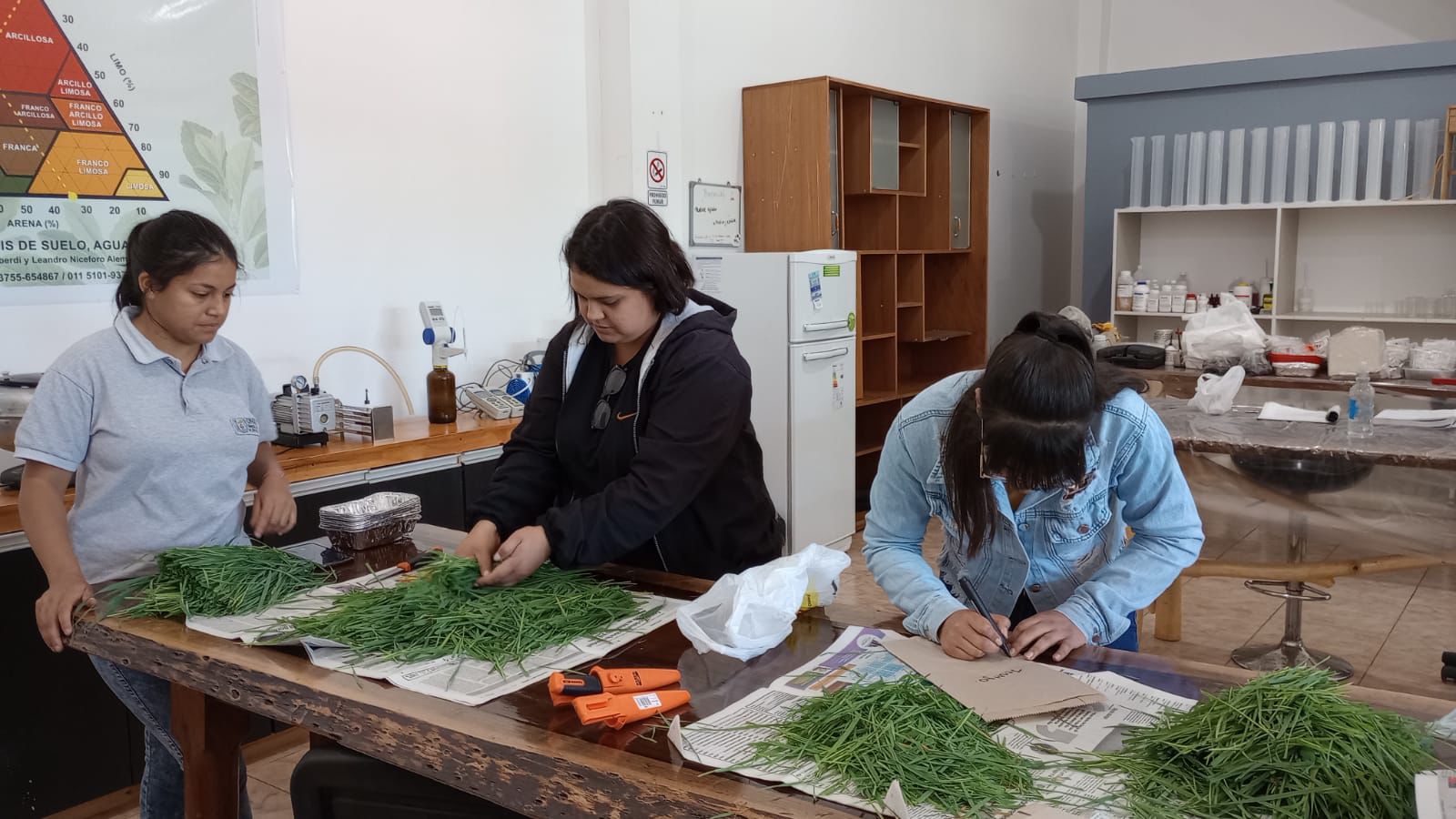 Portada de la noticia